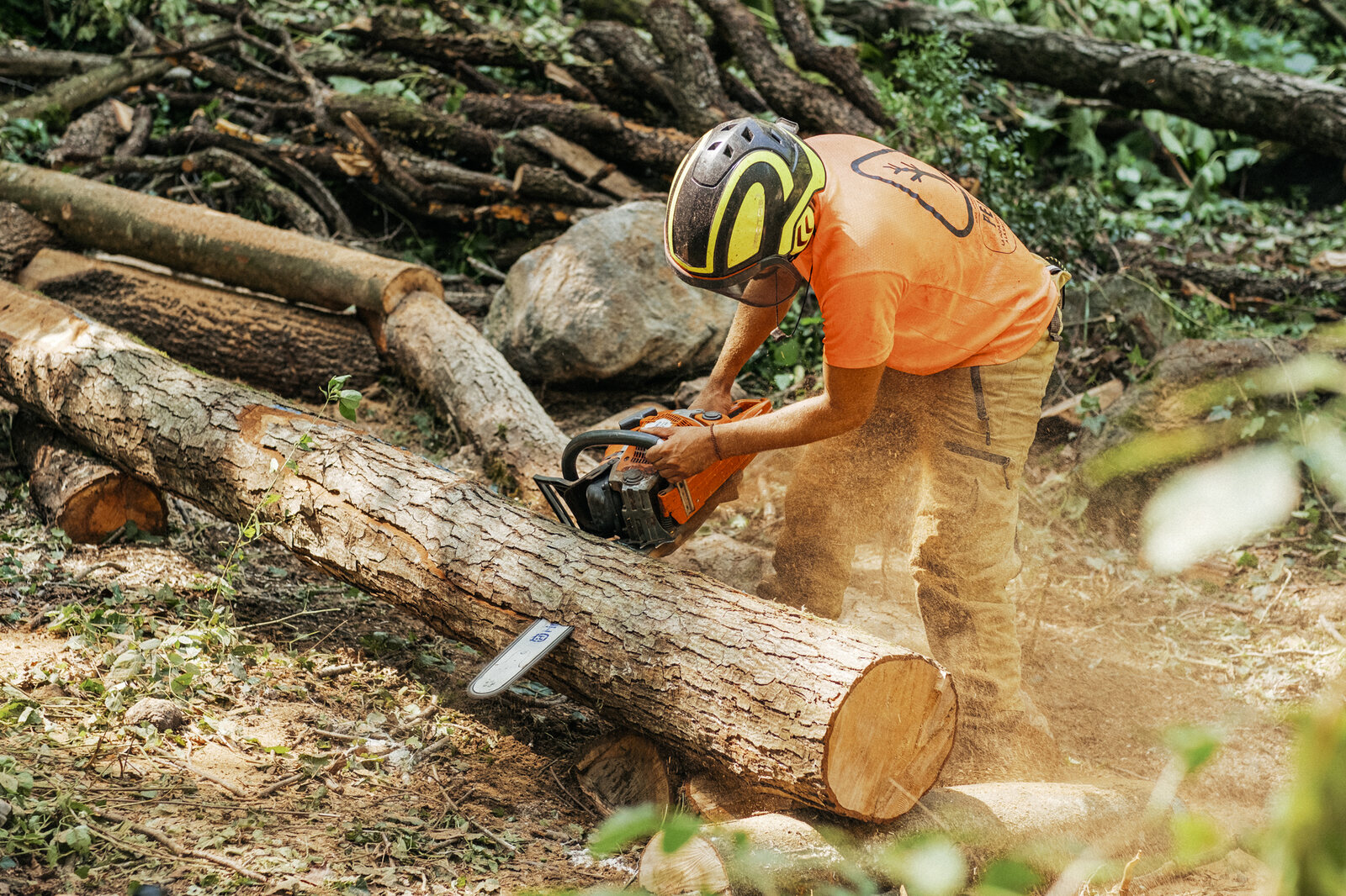 Habitat — cutting logs with a chainsaw