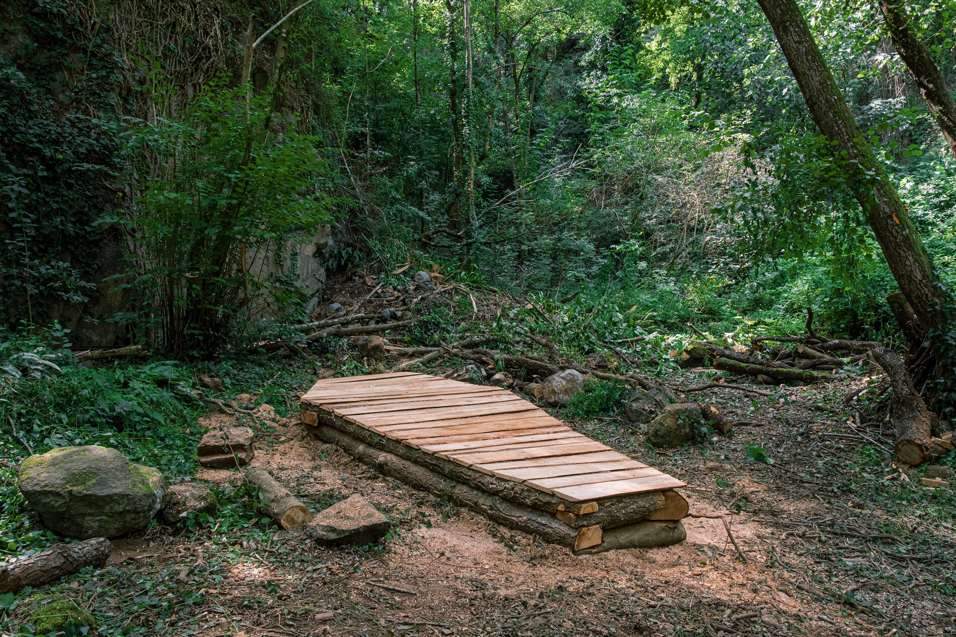 Habitat — the finished coffin in the forest