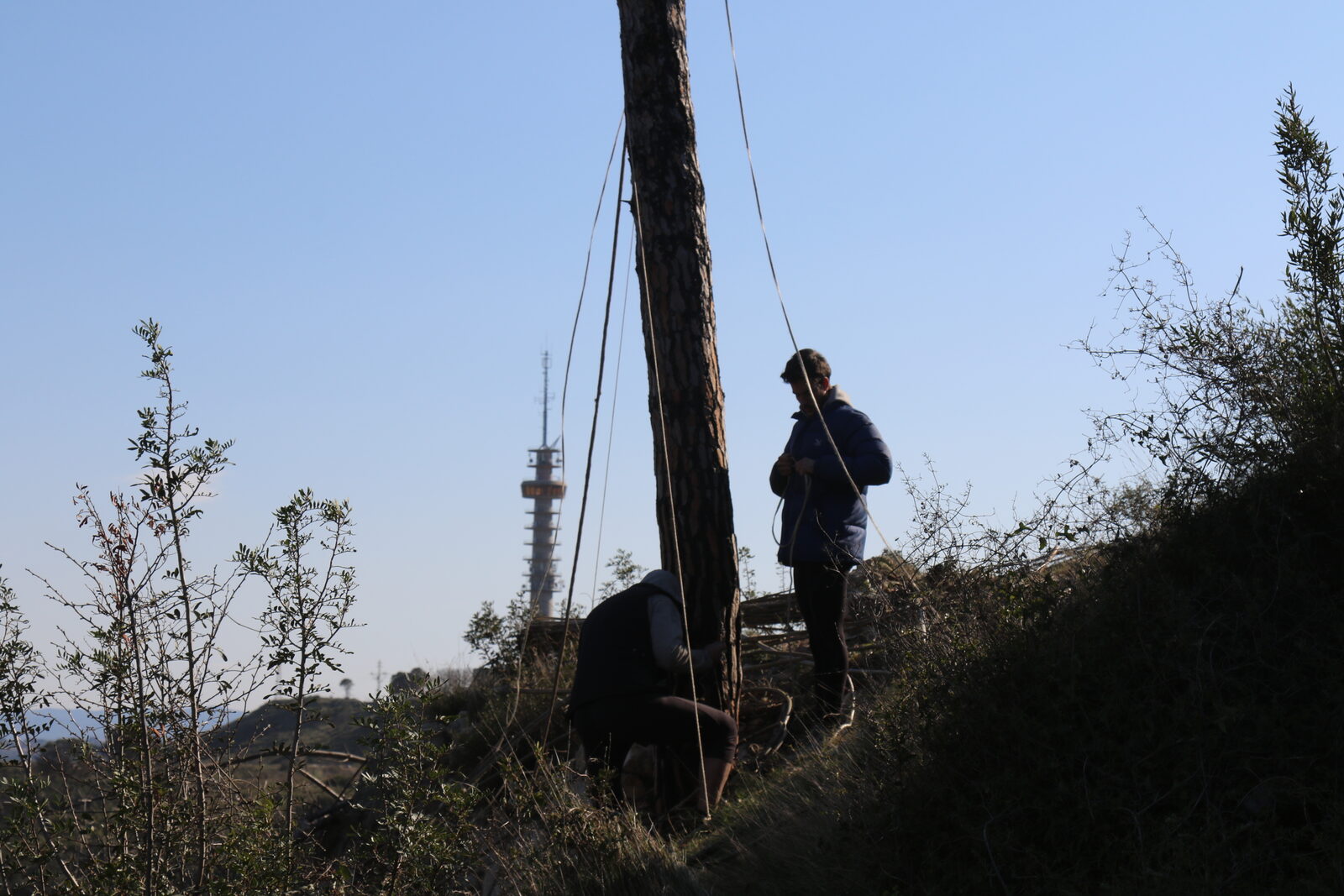 Nest — hoisting the structure with ropes