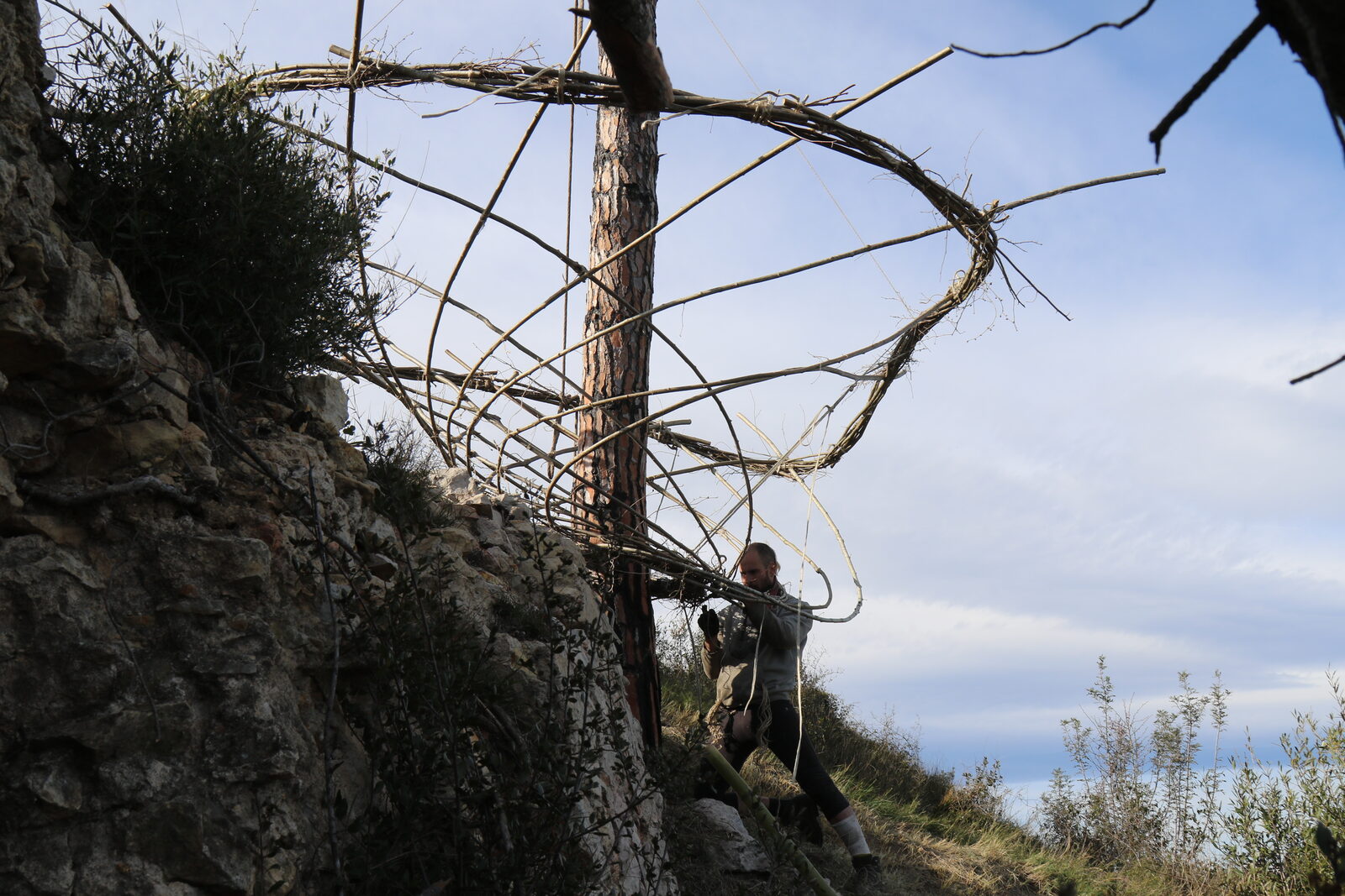 Nest — the ring under construction seen from below
