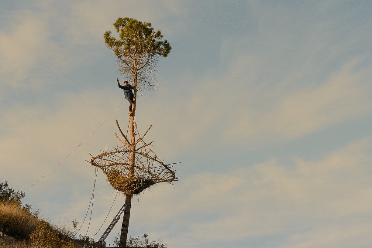 Nest — the finished nest at golden hour
