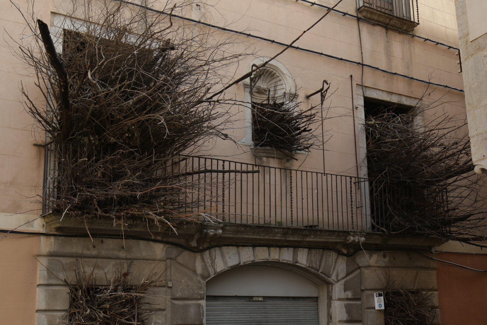 Reinterpretation of a fireplace — façade with branch nests
