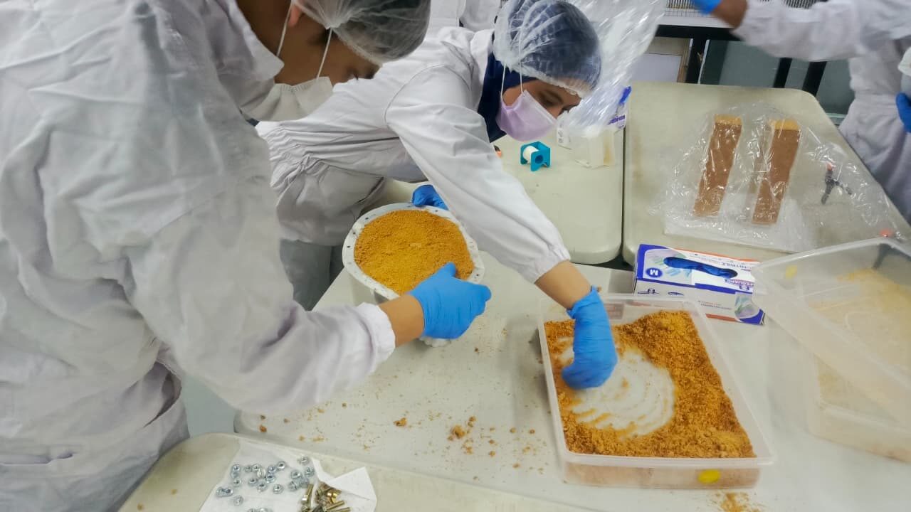 Interspecies Archaeology — preparing the mycelium substrate in the laboratory