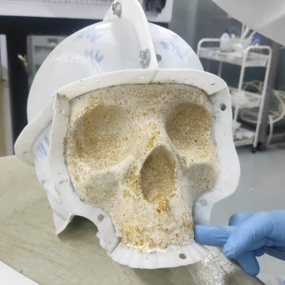 Interspecies Archaeology — mycelium substrate packed into the skull mould